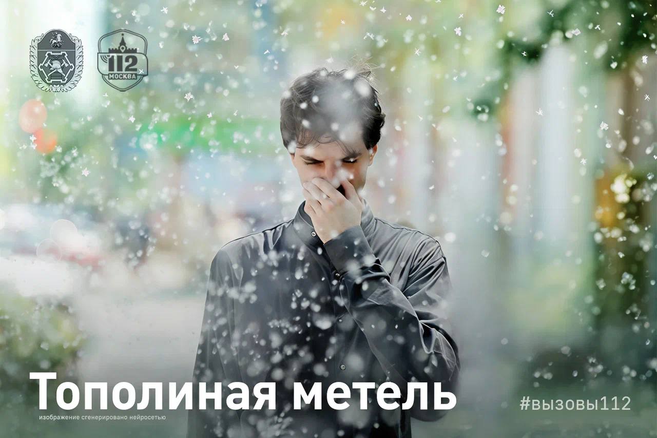 Тополиная метель